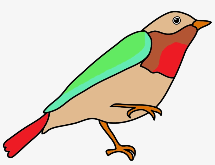 Dendroica Colored Fantasy Colors - Bird Drawing With Color, transparent png download
