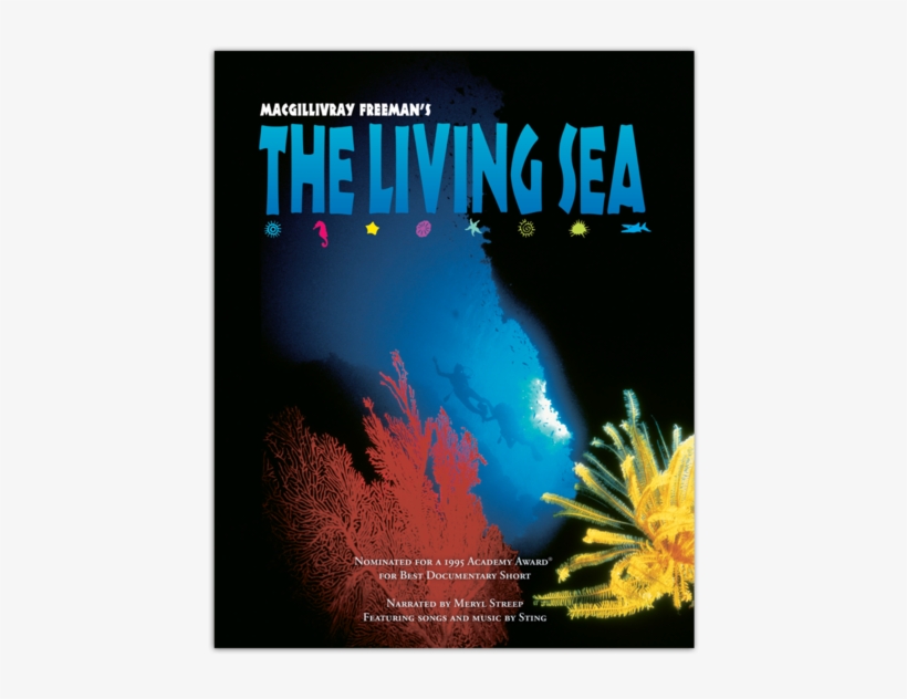 Academy Award® Nominated The Living Sea Takes You To - Sting The Living Sea, transparent png download
