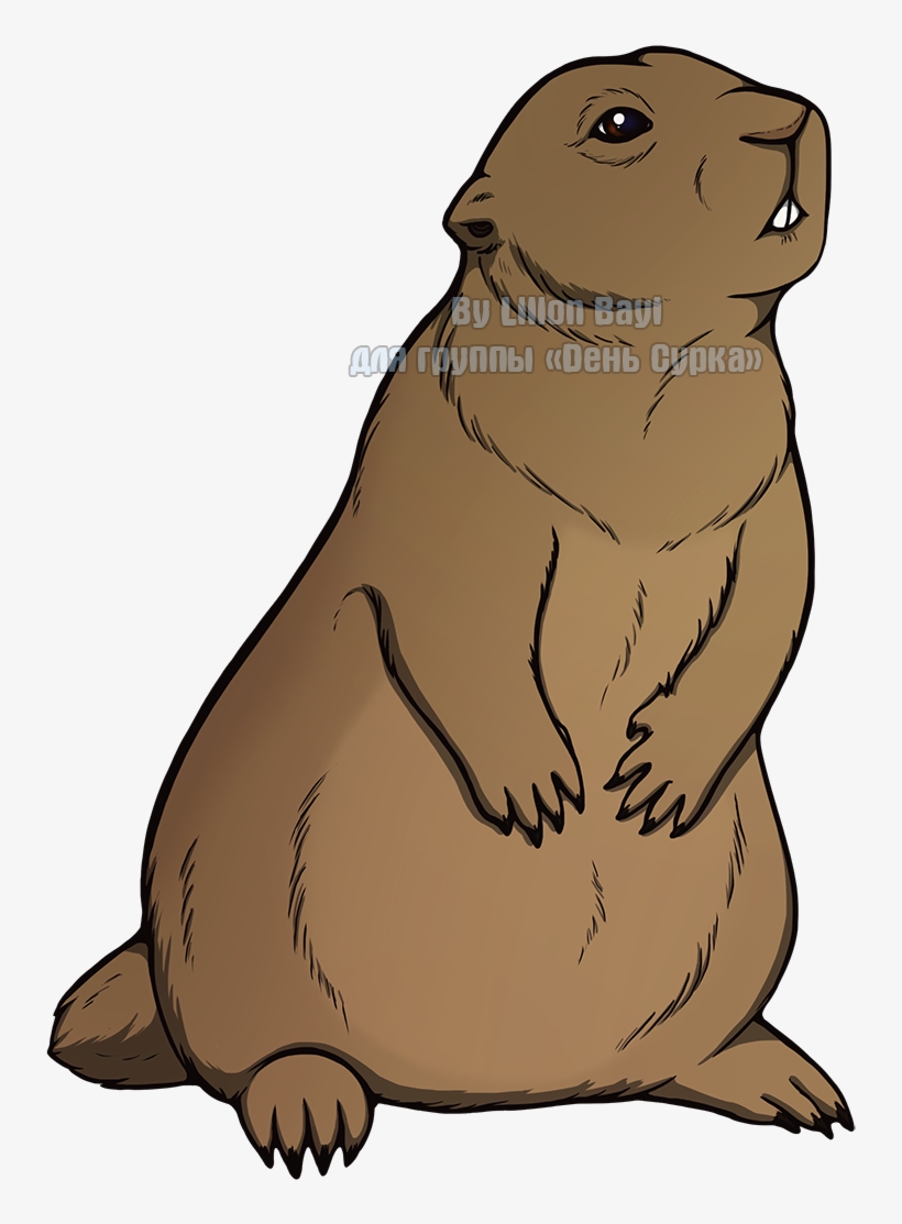 California Sea Lion, transparent png download
