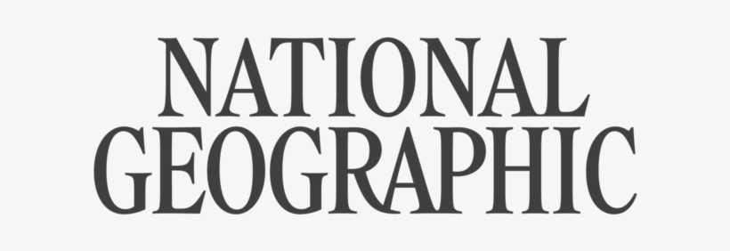 Human Action, transparent png download