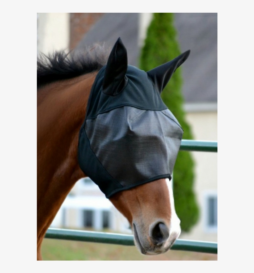 Absorbine Ultrashield Fly Mask With Ears - Stallion, transparent png download