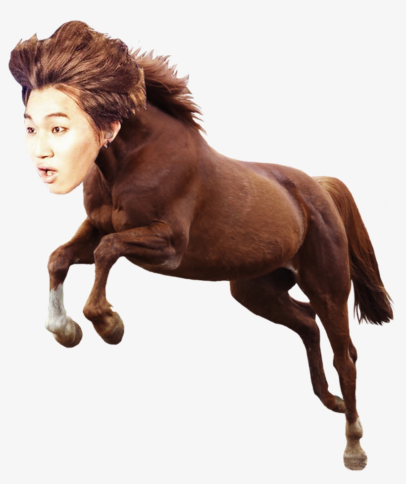 Horse Dae Transparent Png, transparent png download