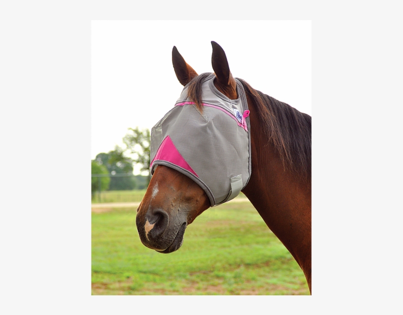 Breast Cancer Research Crusader Fly Mask,hay River - Fly Mask, transparent png download