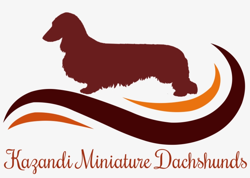 Dog Catches Something, transparent png download