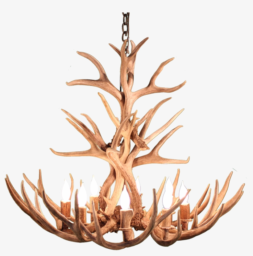 Wood, transparent png download