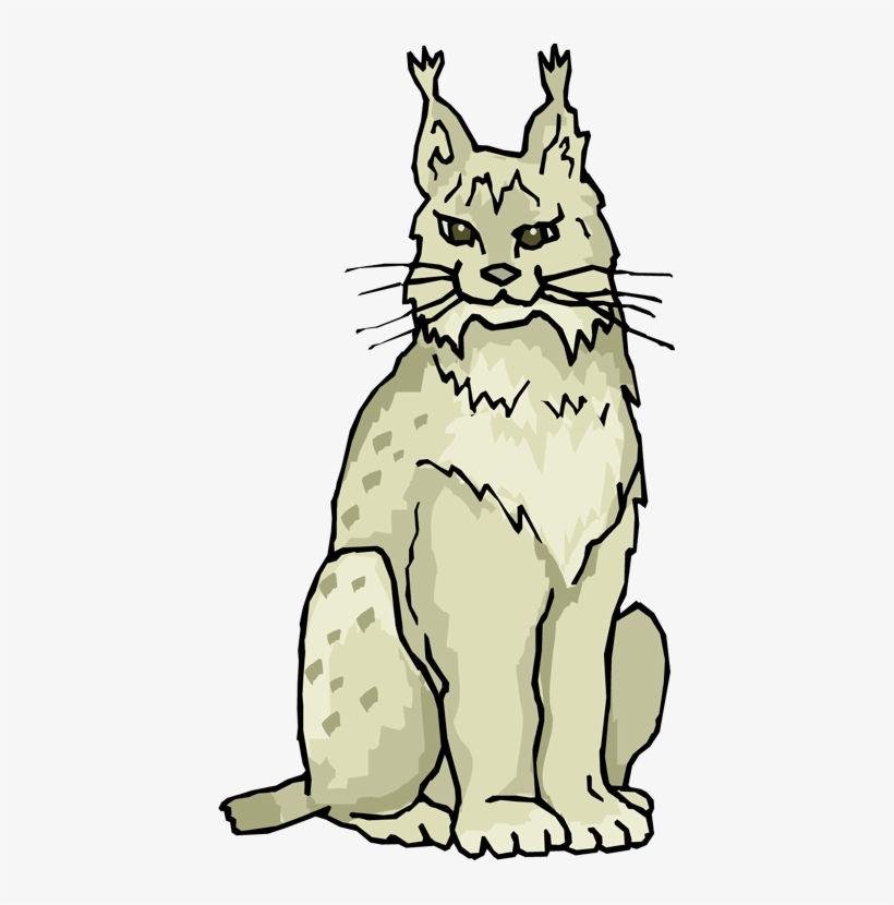 Lynx Clipart Linx - Clip Art Lynx, transparent png download