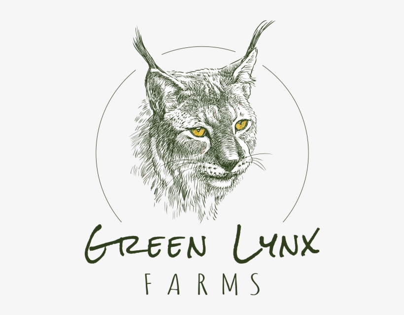 Child Prodigy, transparent png download