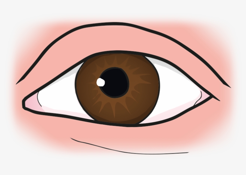 Eye - Cartoon, transparent png download