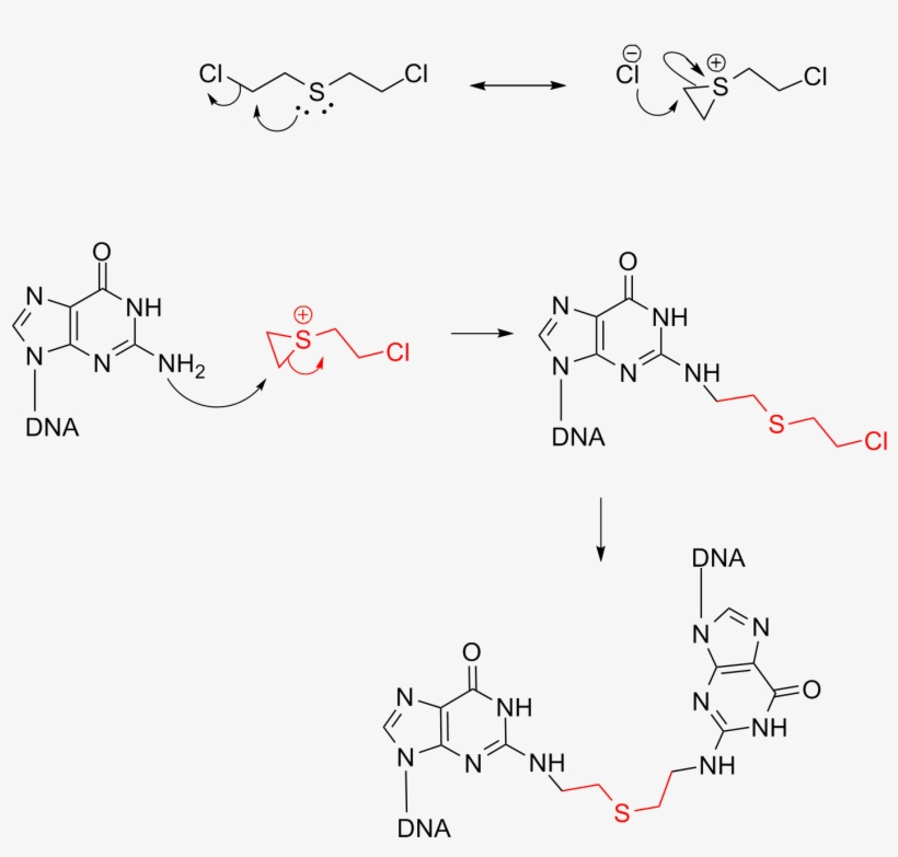 Mustard Mech Cn - Diagram, transparent png download