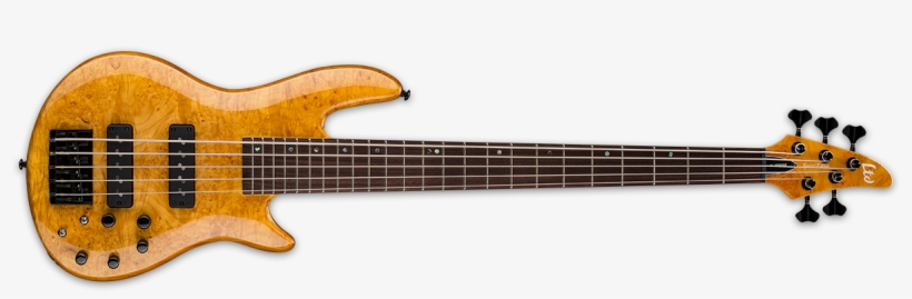 Music Man Majesty Goldmine, transparent png download