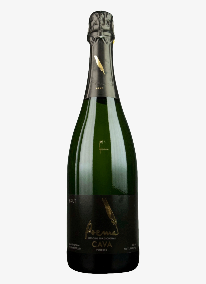 Champagne, transparent png download