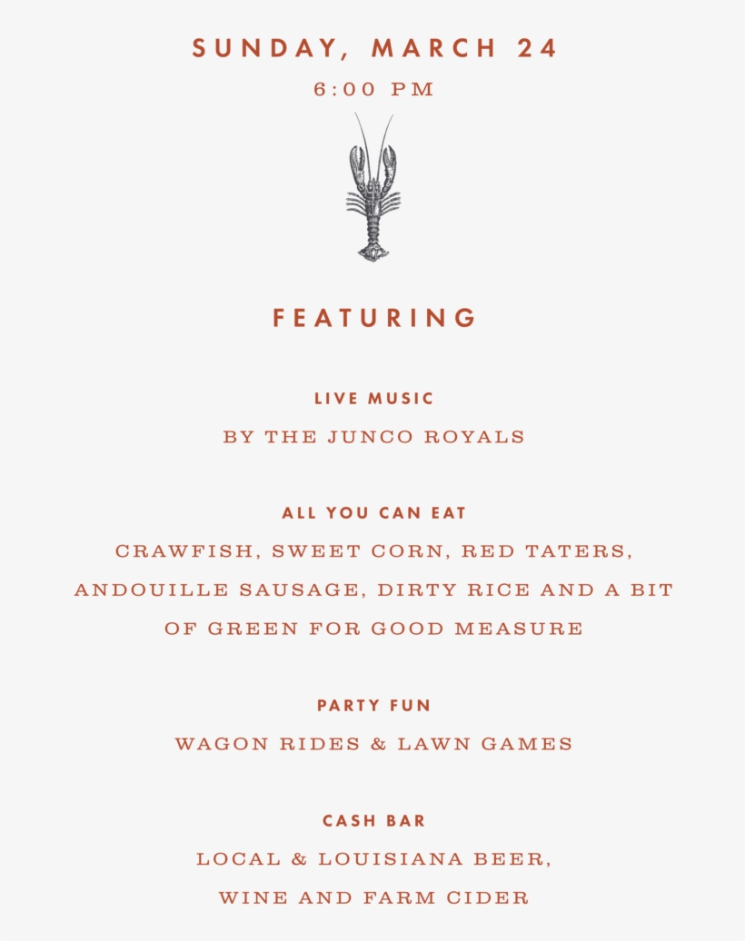 Content-01 - Document, transparent png download