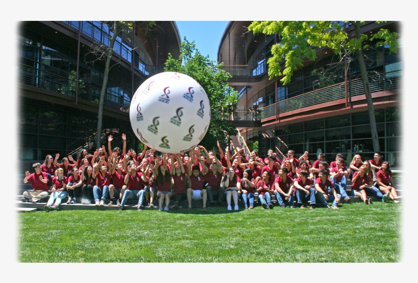 Apply For The 2019 Stanford Bio-x Undergraduate Summer - Huddle, transparent png download