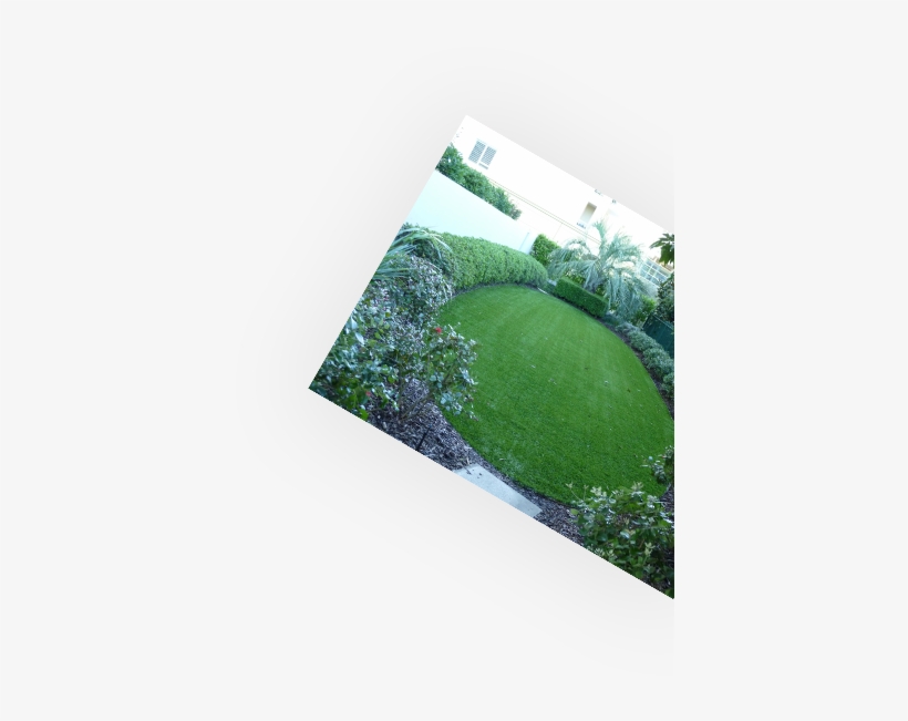 Learn How - Lawn, transparent png download