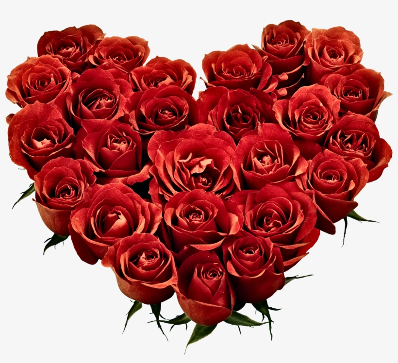 Image Download Day February Propose Wish National Hugging, transparent png download