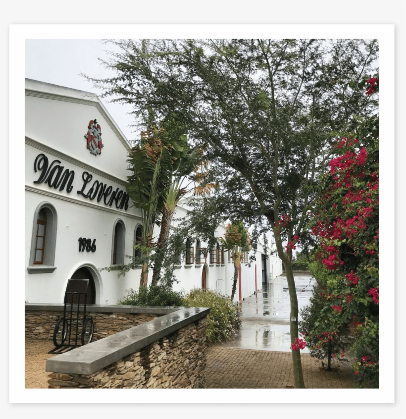 Koorsboom - Holy Places, transparent png download