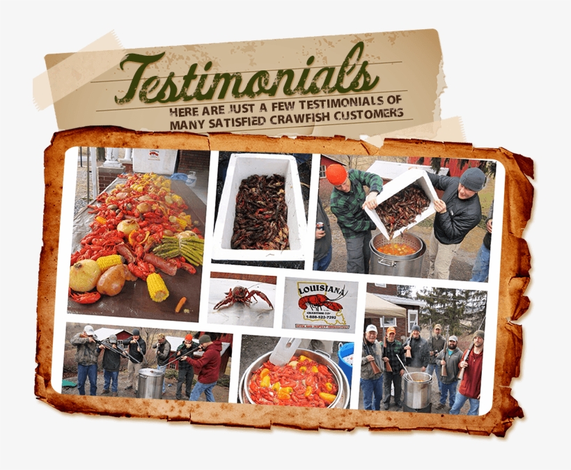 Here Are Just A Few Testimonials Of Many Satisfied - Superfood, transparent png download