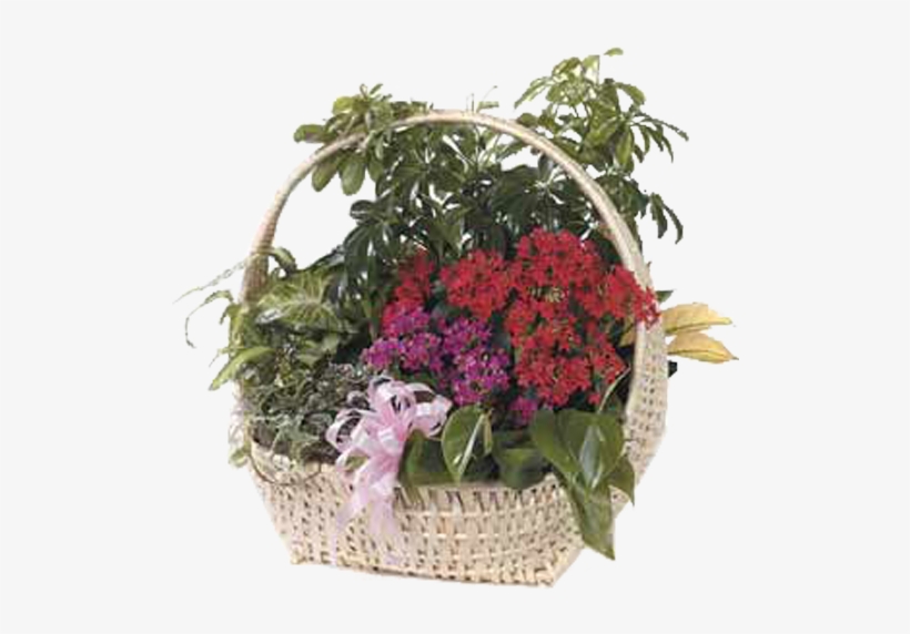 European Garden - Bouquet, transparent png download