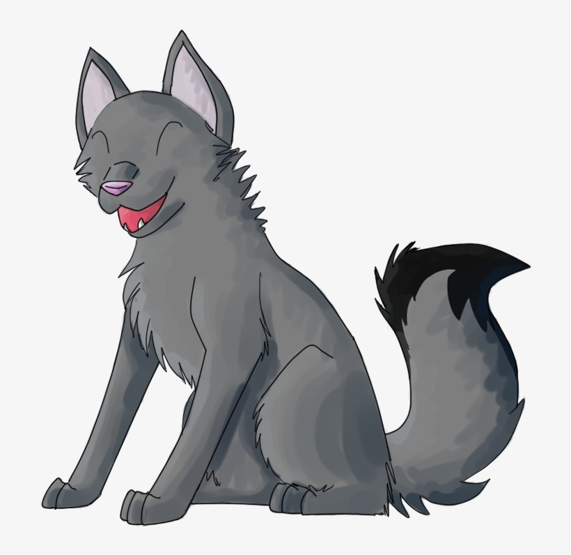 Grey Wolf Drawing Transparent, transparent png download