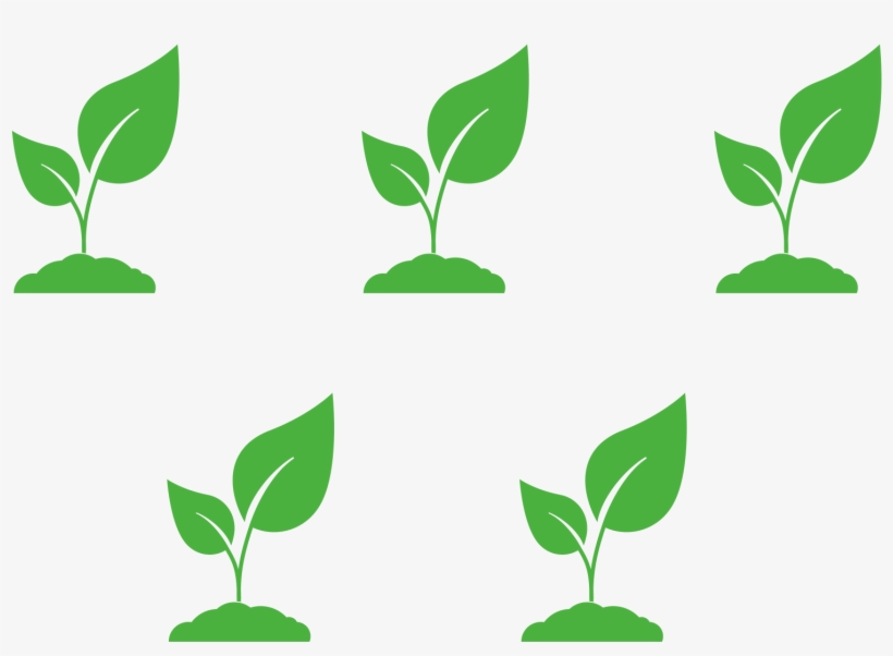 Calculate The Number Of Plants To Fill A Landscape, transparent png download