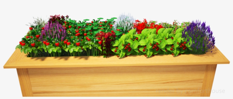 3d Decorative Flower Bed - Lobelia, transparent png download