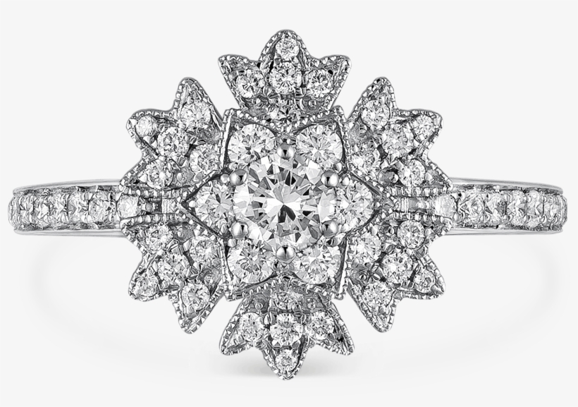 Anillo De Ice Flowers, So16084-obd V - Circle, transparent png download