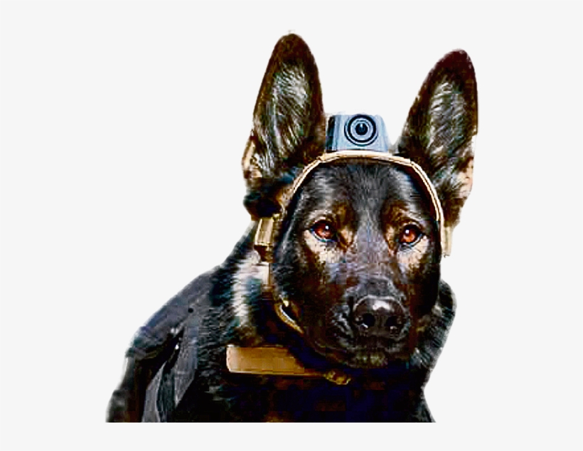 Drawn Soldiers Futuristic - Dog With Military Helmet Png, transparent png download