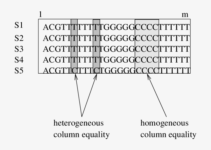 Heterogeneous And Homogeneous Columns - Number, transparent png download