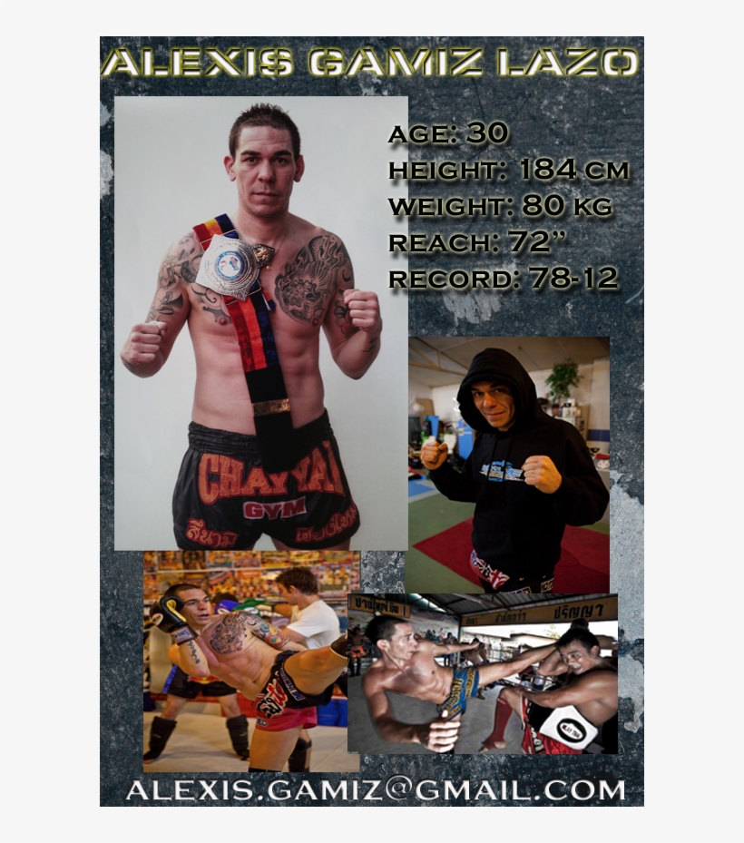 Professional Boxing, transparent png download