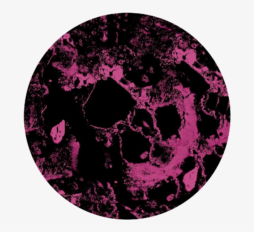 More Views - Circle, transparent png download