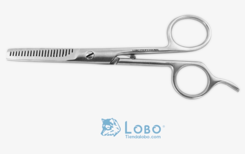 Belleza/tijeras Entresacar/tijera Entresacar 2 Hoja - Scissors, transparent png download