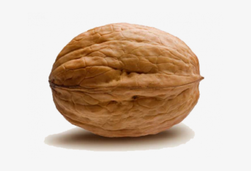 Walnut Transparent Png, transparent png download