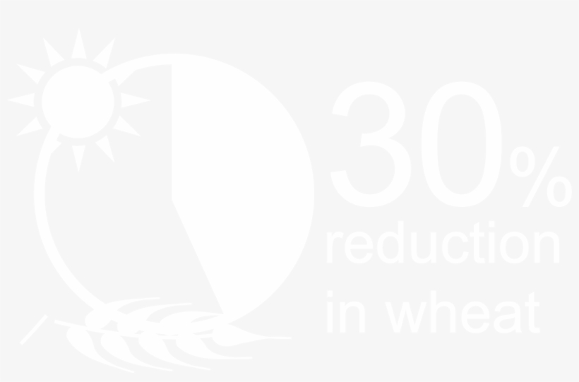 Wheat Photo - Illustration, transparent png download