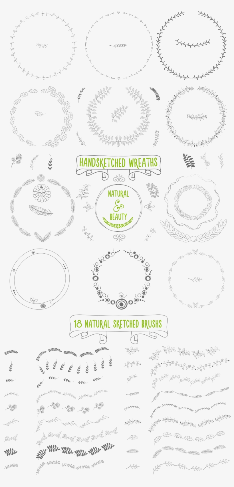 Color Flower Wreath Vector - Circle, transparent png download