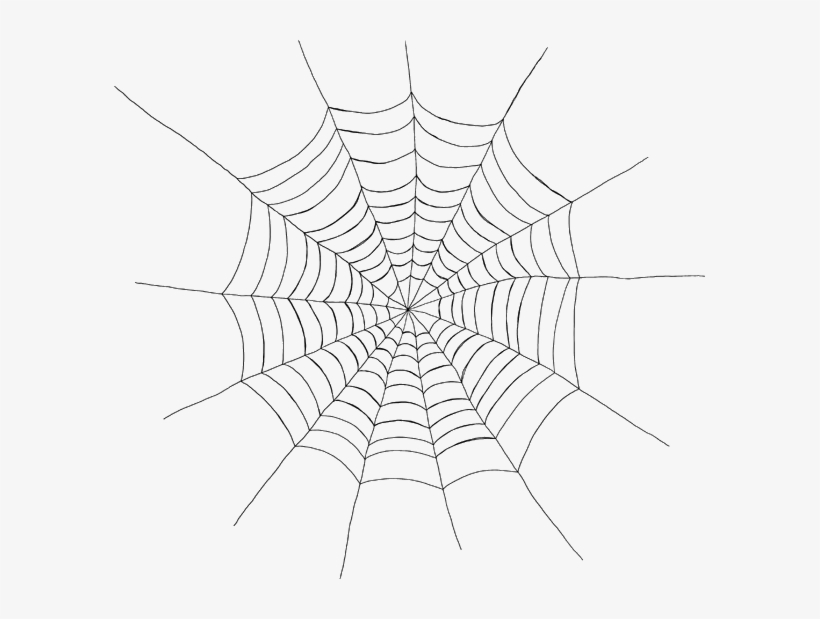 Cobwebs - Web - 2 - Web 2 591×539 69 Kb - Spider Web Spiderman, transparent png download