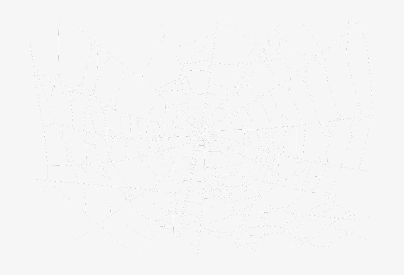 Spider Web, transparent png download