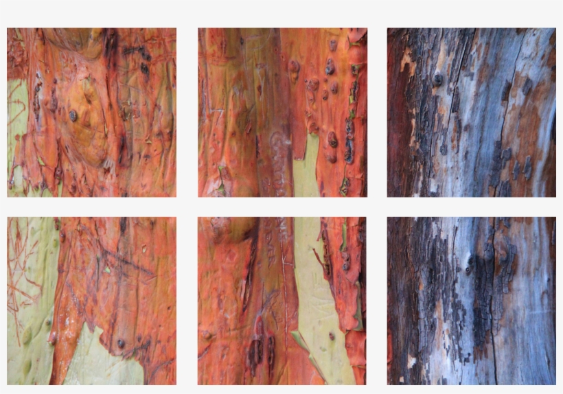 Six Print Squares - Plank, transparent png download