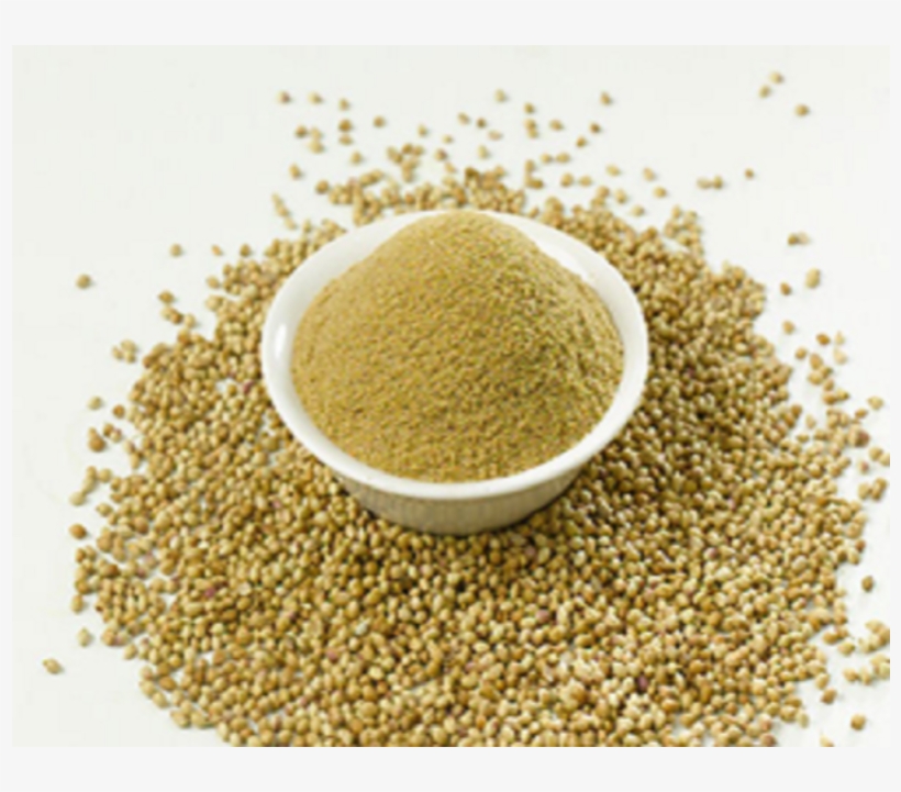 Coriander Powder In Hindi, transparent png download