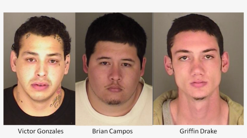 Gang And Drug Arrests - Seaside Gangs, transparent png download