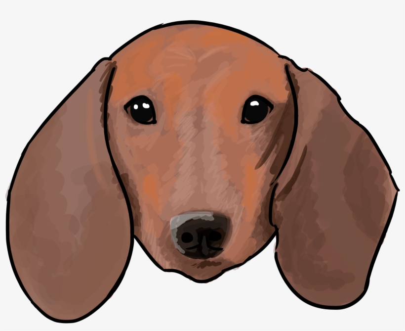 6 Why Are You A Dachshund - Drawing, transparent png download