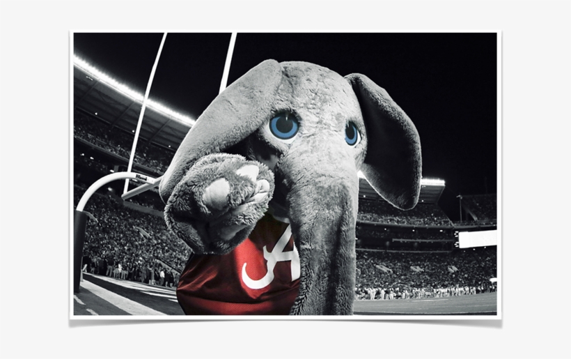 Alabama Crimson Tide Big Al‰ã¢ End Zone Photo Print - University Of Alabama, transparent png download