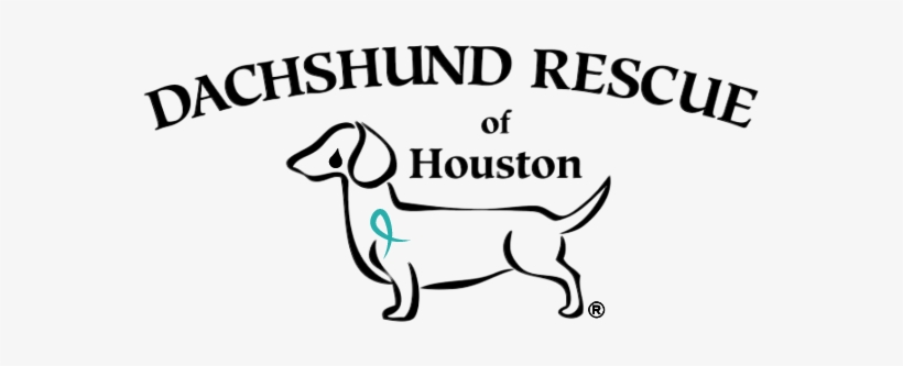 Dachshund Rescue Of Houston, transparent png download