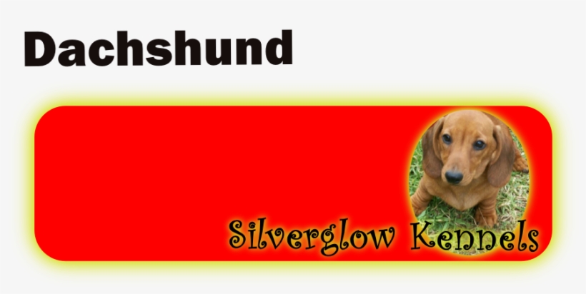 Linguafram Phisics And Chemistry 2/3 Eso - Vv.aa., transparent png download