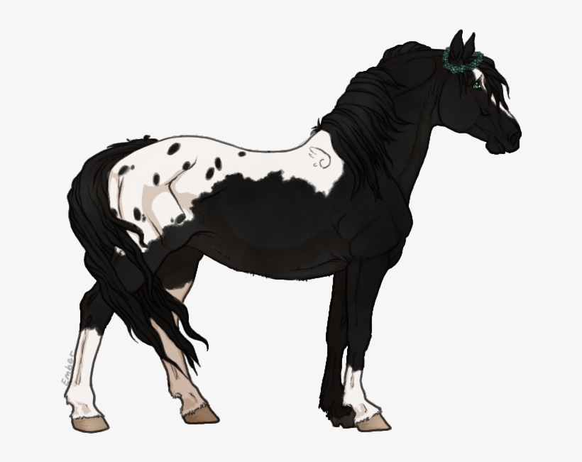 Ｎａｍｅ ；； Paint With All The Colors "pocahontas" Ｂｒｅｅｄ - Seal Bay Horse Sabino, transparent png download