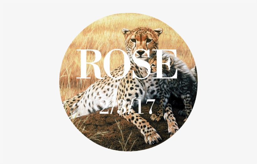 Cheetah And Cubs Big Cat Mural 1998 Johan Hoekstra - African Leopard, transparent png download