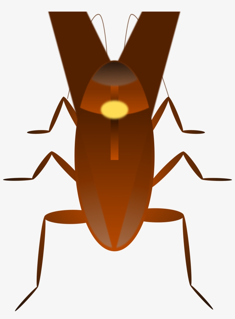 Cucaracha, transparent png download
