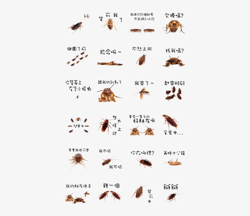 Cockroach Is Cute - Cockroach, transparent png download