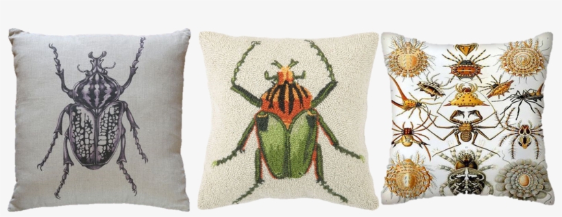 Www - Bohohome - Com @bohosusan - Beetle Hook Pillow, Throw Pillows,wool, Cotton,, transparent png download