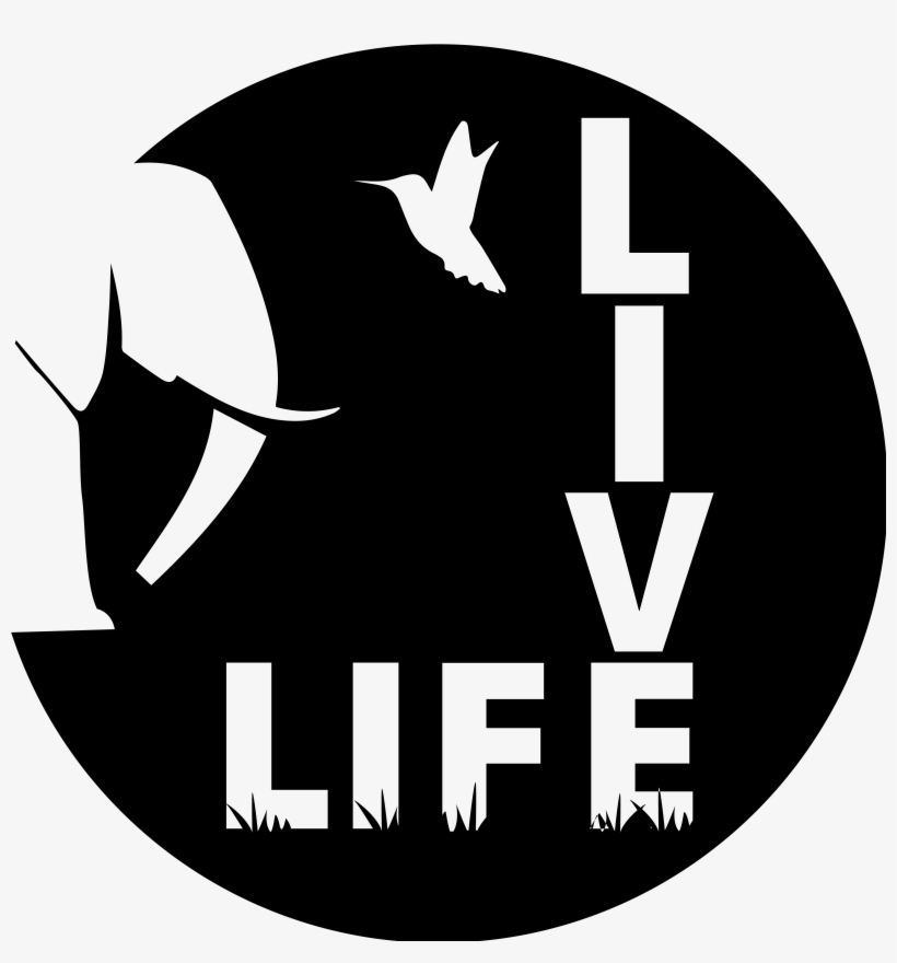 Charitable Exhibition Project - Abortion, transparent png download