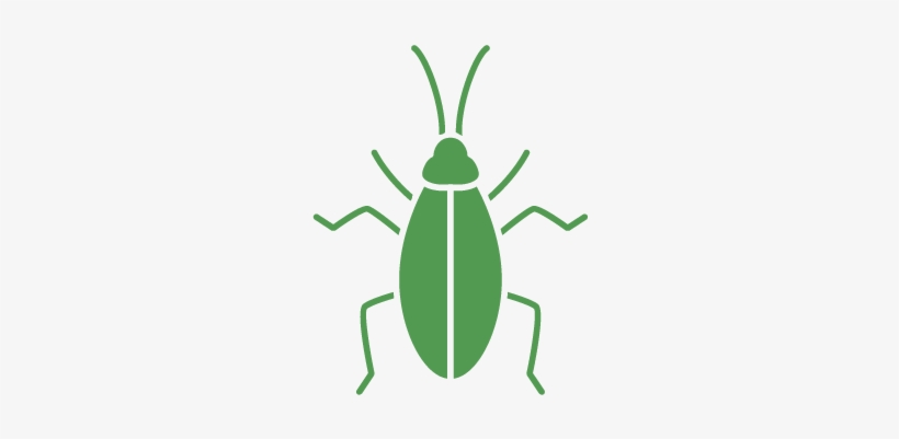 Cockroaches - Orange County, transparent png download